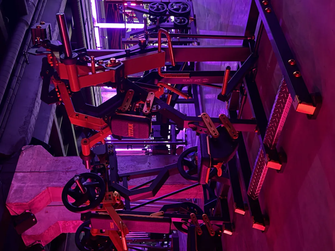 Рычажные тренажеры ICON Fitness